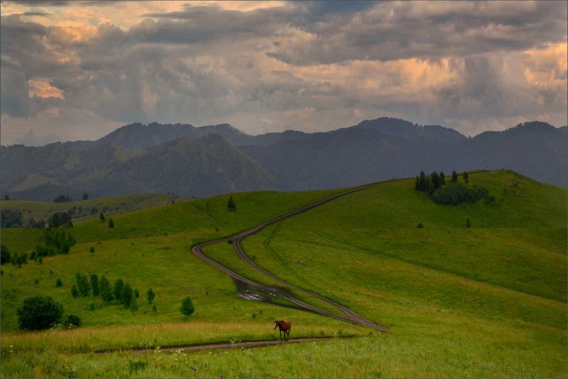 Пейзаж По дорогам Алтая Красивые места По дорогам Алтая фото превью