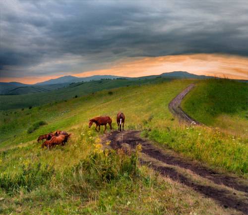вечерними дорогами