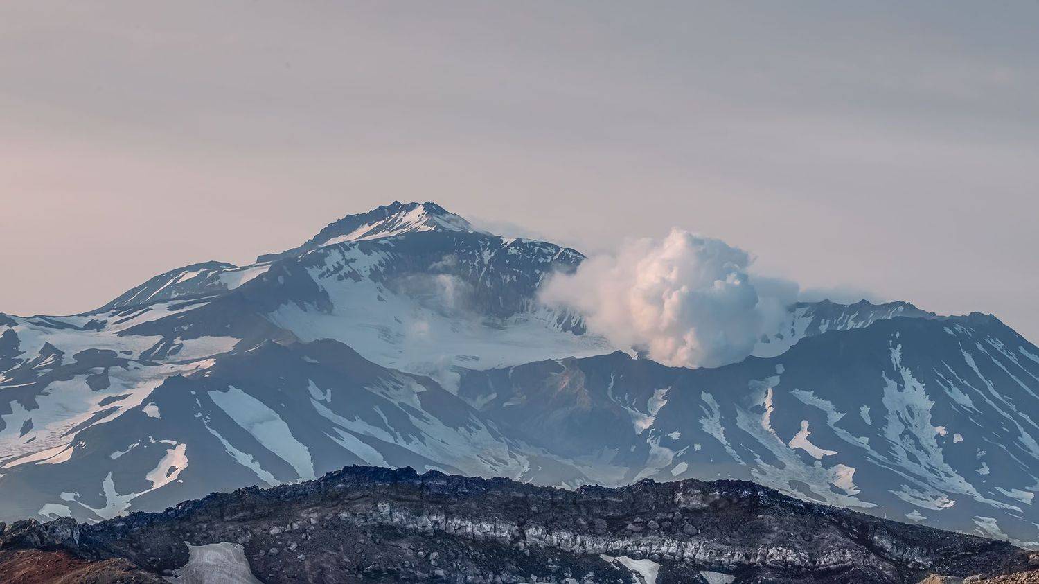 , Елена Маковоз