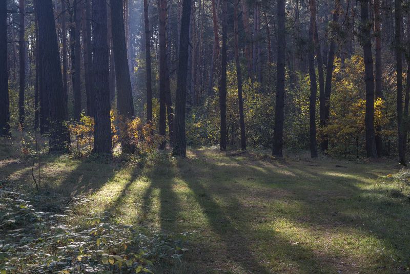 о c t o b e r фото превью