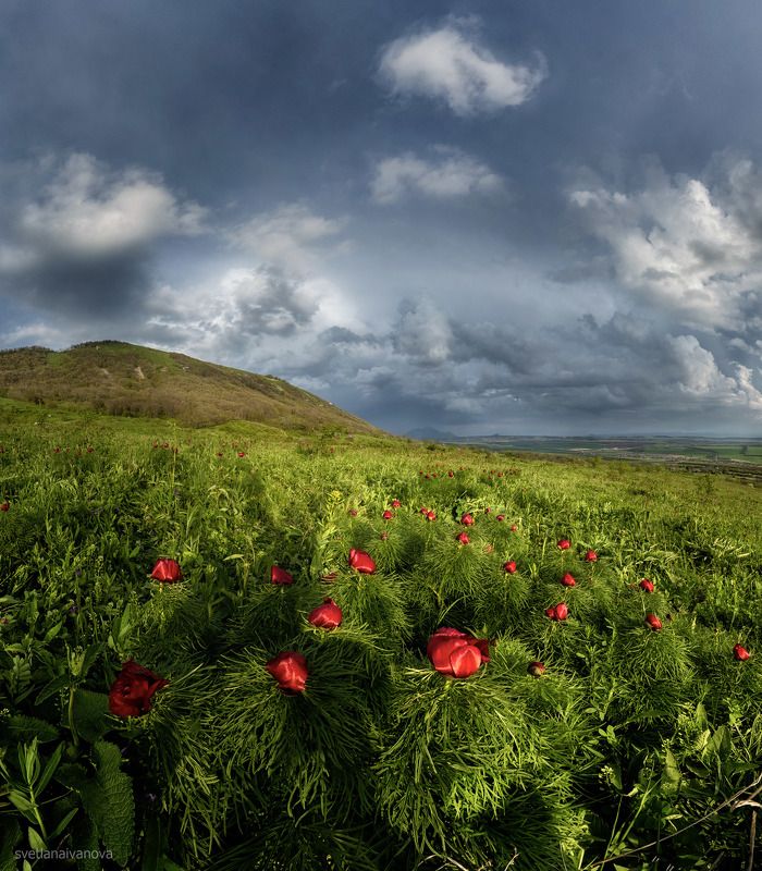 35photo, kavkaz, landscape, mountains, natgeoru, russia, samyangru, sky, sunset, svetlanaivanova_photo, бештау, верблюд, кавказ, горы, пейзаж, пионы, природароссии, путешествия, россия ...цвели последние пионы... фото превью