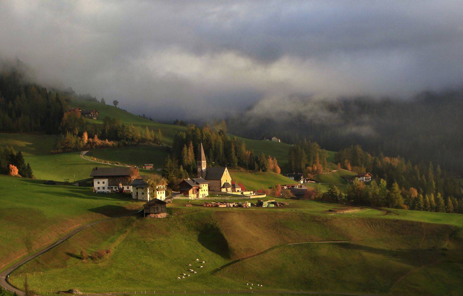 , Милокост Алексей