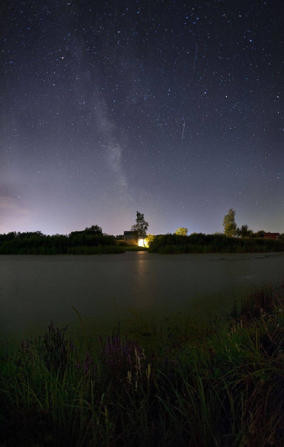 , Виталий Стрельцов