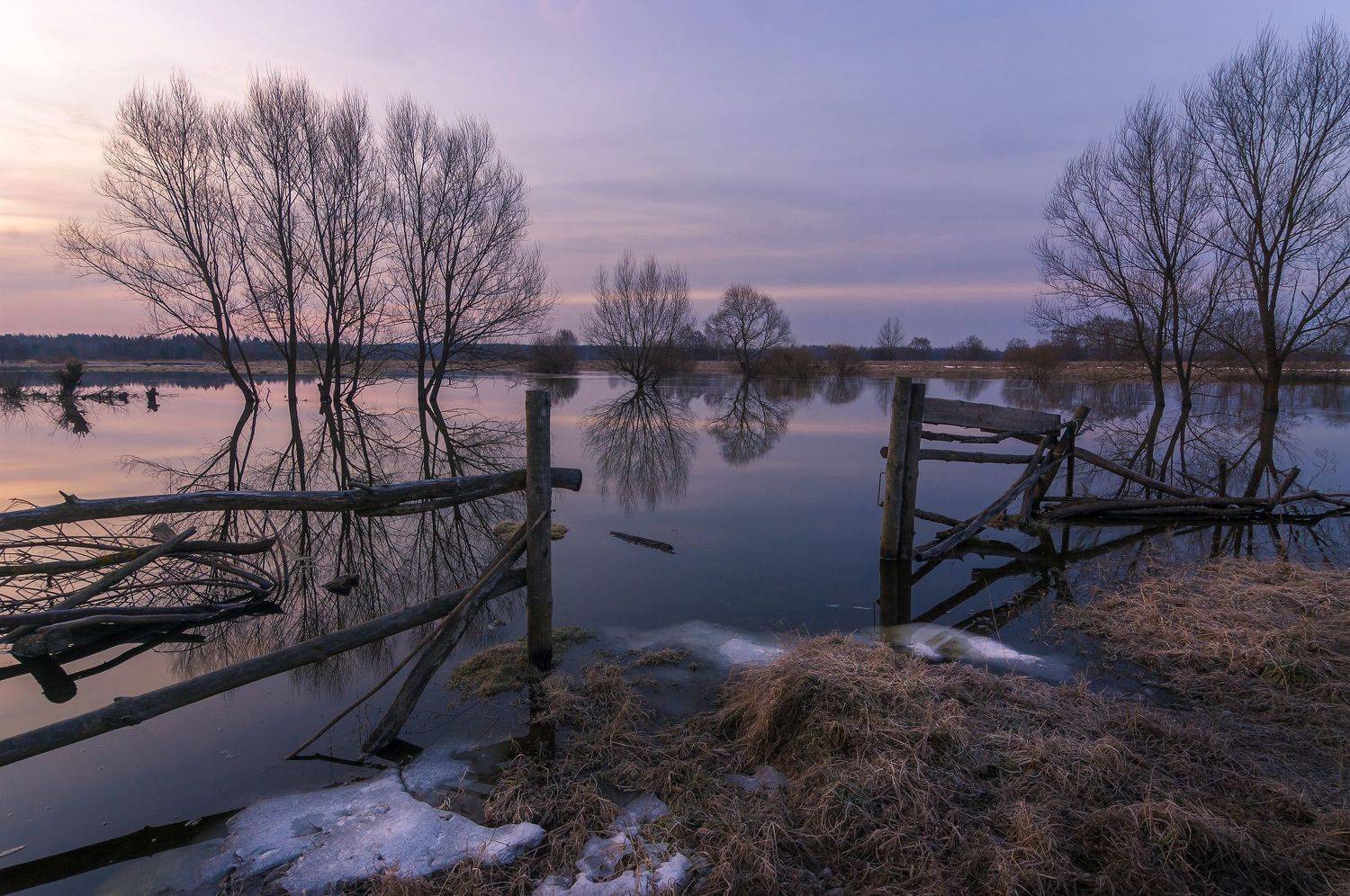 туман, московская область, утро, природа, пейзаж, весна, рассвет, солнце, Александр Кыров