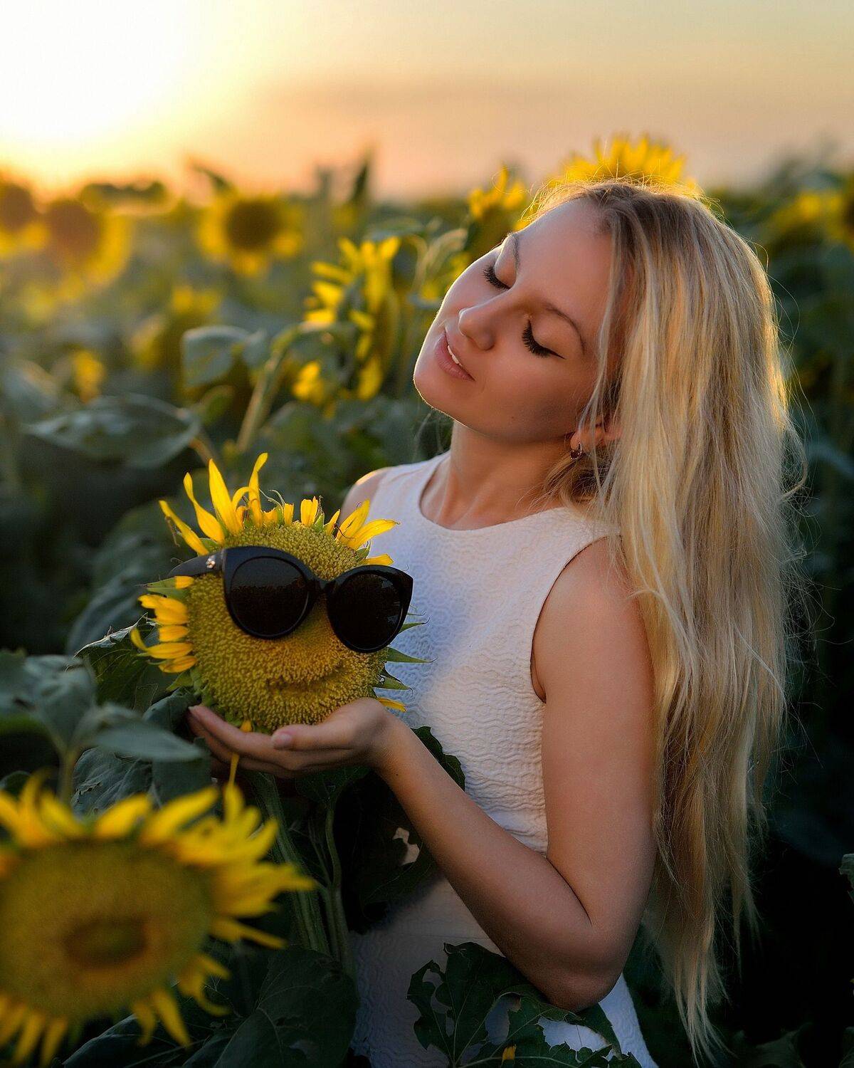 подсолнухи, Владимир Кулаков