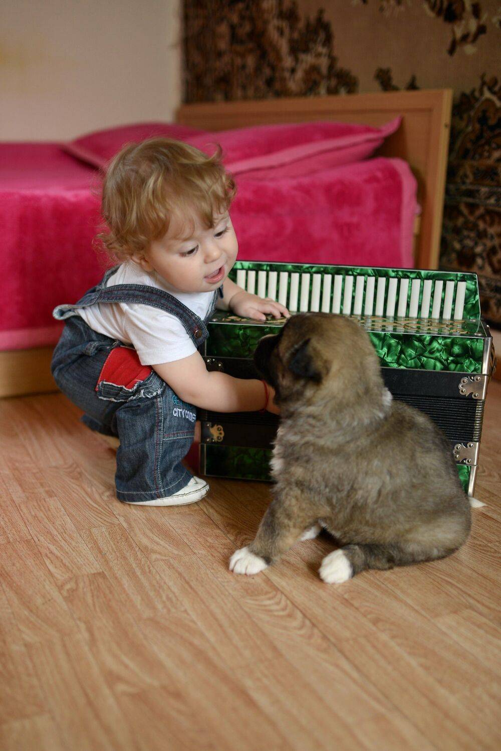 музыкальная, школа, Владимир Кулаков