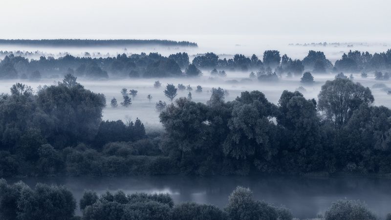 Дыхание раннего утра фото превью