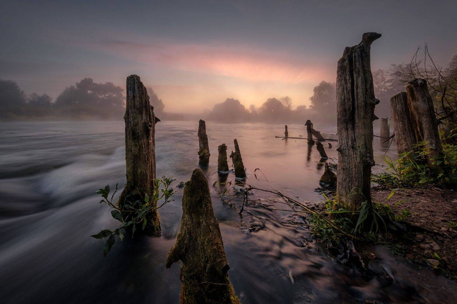 река, протва, сваи, остатки, вода, рассвет, туман, облака, пейзаж, природа, Андрей Чиж