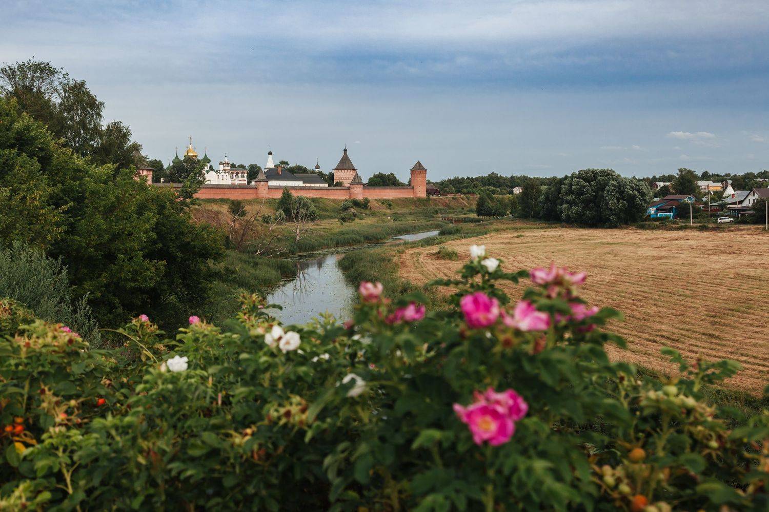 Суздаль, Элина Хван