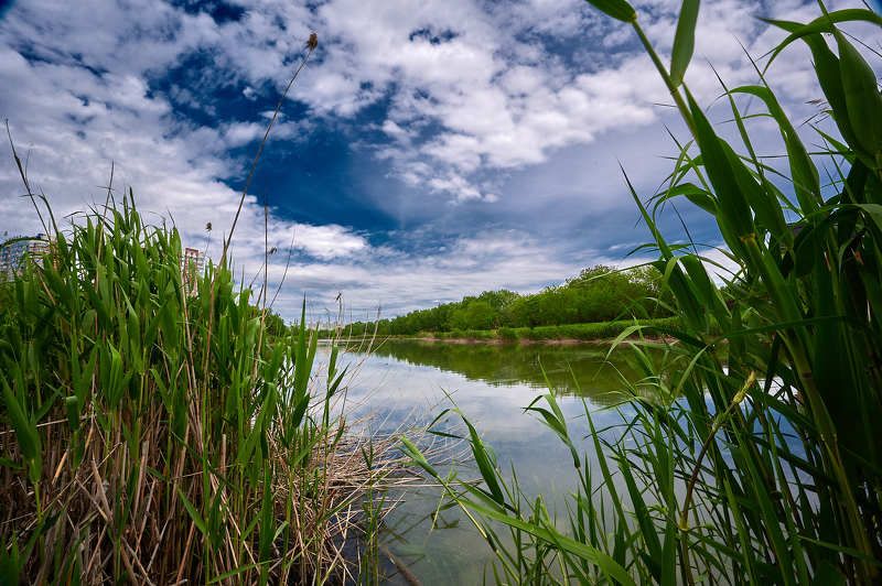 *** фото превью