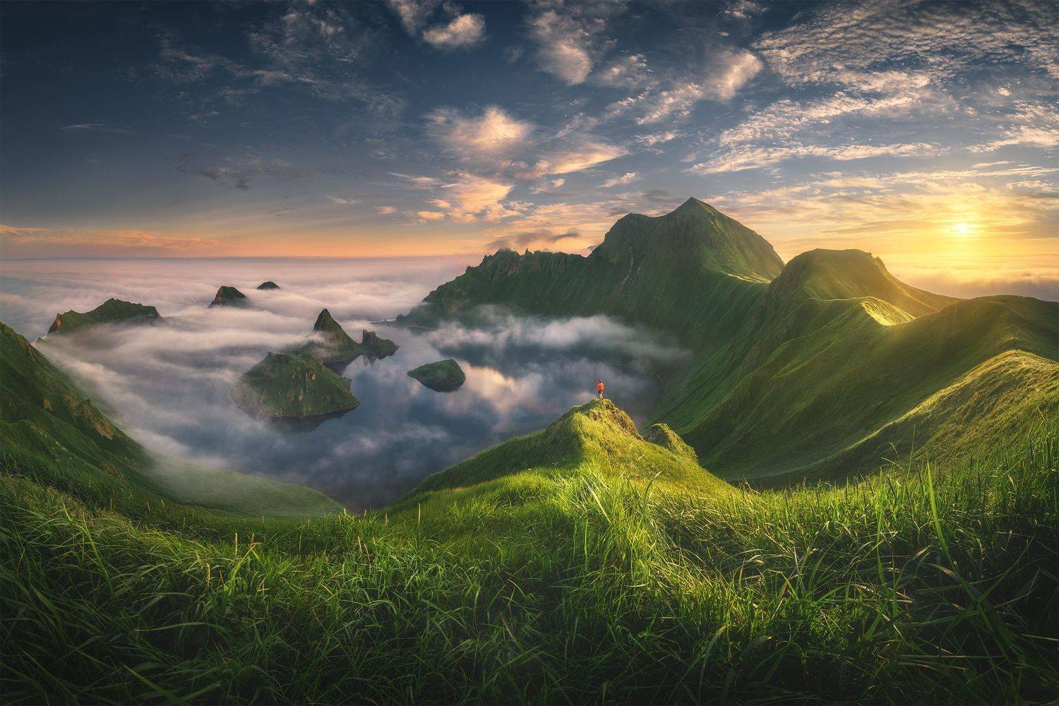 , Анна Политова