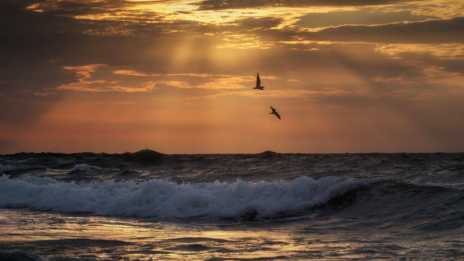 шторм, севастополь, херсонес пейзаж, лето, волны, море, чайки, крым, закат, Екатерина Дмитренко