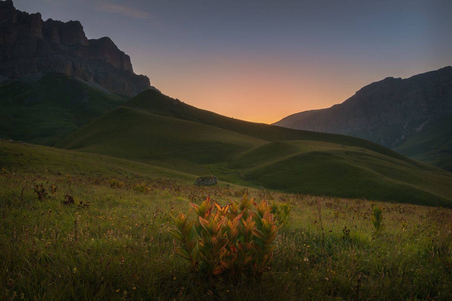 актопрак, кабардино-балкария, чемерица,, Роман Фабричный