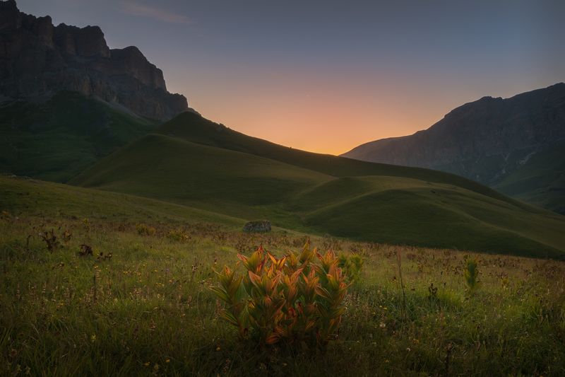 актопрак, кабардино-балкария, чемерица, Балкарское утро фото превью