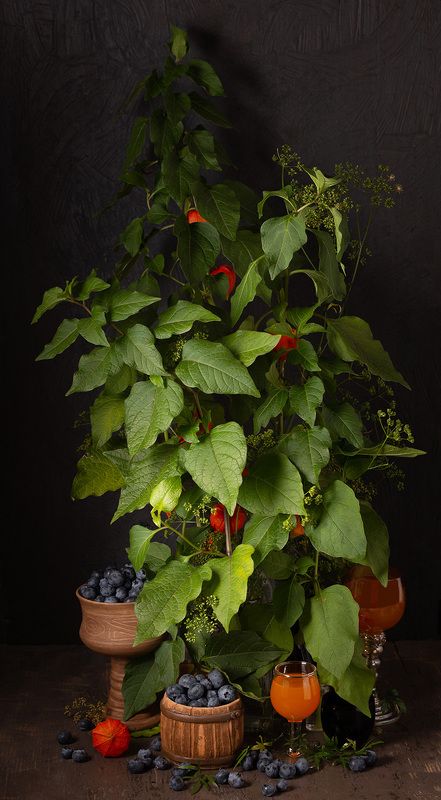 Физалис и голубика фото превью