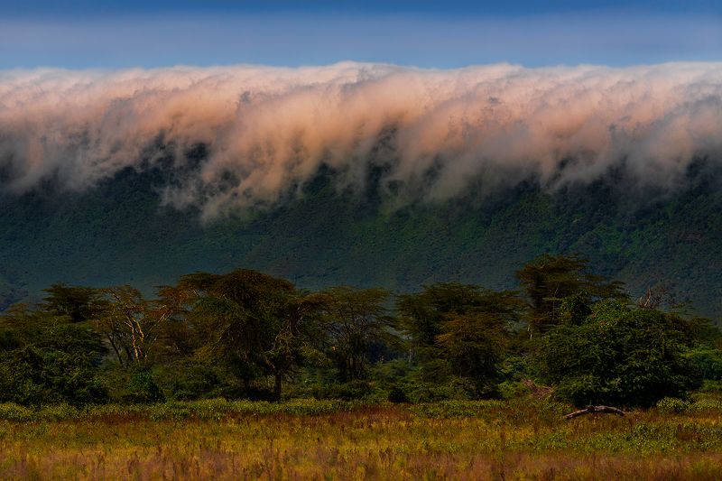 NGORONGORO фото превью