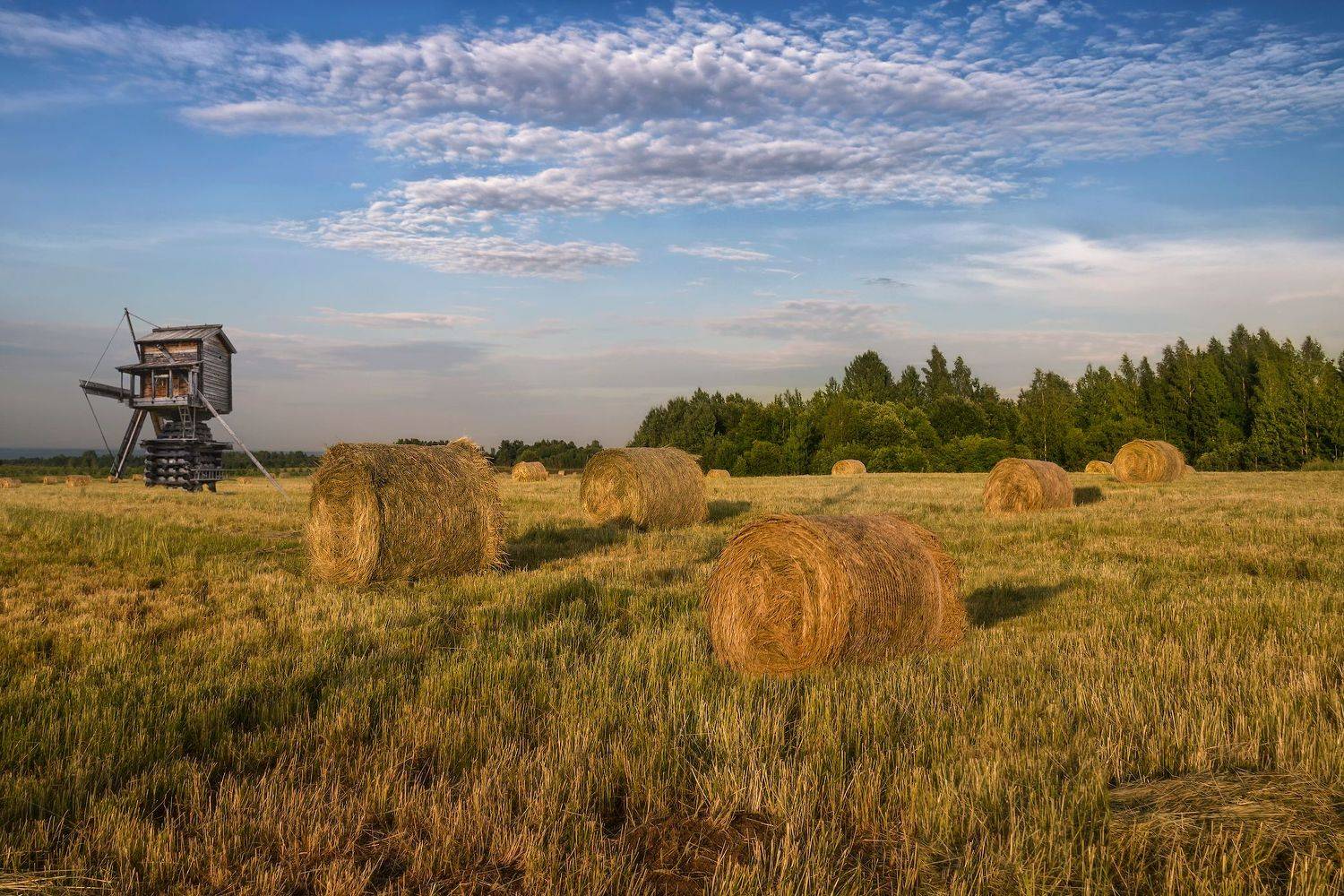 огодская обл., семёнково, деревянное зодчество, Марина Ческис