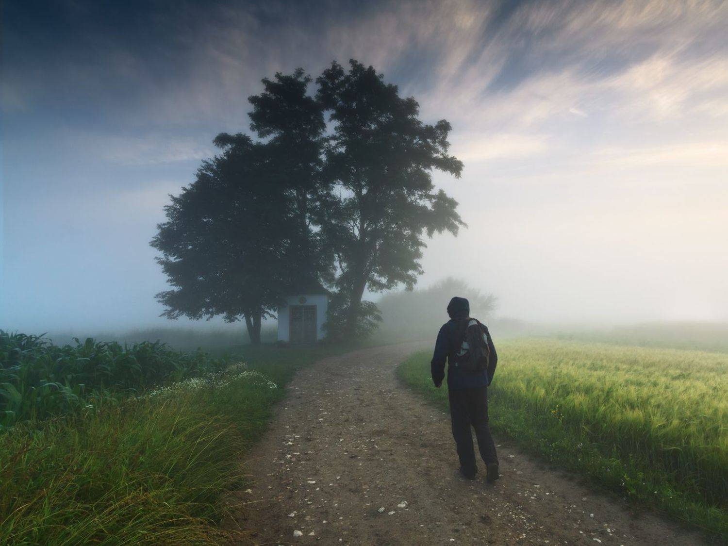 польша, лето,  туман, утро, poland, field, summer, wanderer, tranquility, solitary, outdoor, lesser poland, chapel, heritage, europe, mist, fog, quiet, calm, shrine, meadow, mood, tree, rural, plain, sky, alone, road, Sebastian Płonka