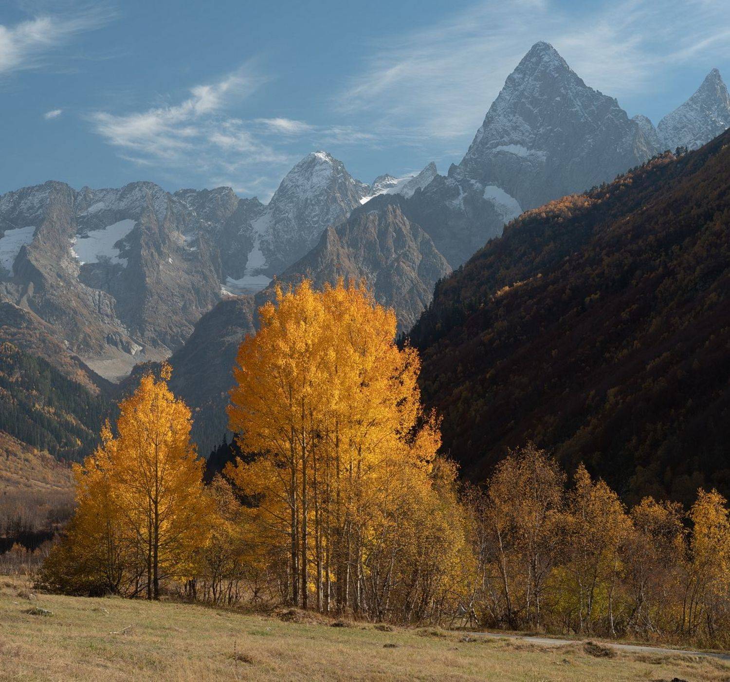 гора, небо, плато, облака, утро, тучи, домбай , осень, дерево, ущелье, Арсен Алабердов