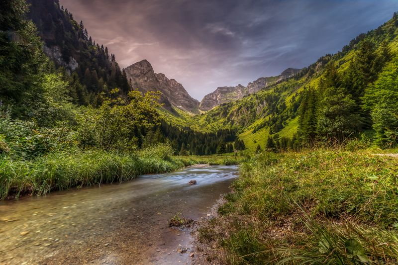 Пейзаж, природа, горы Речка фото превью