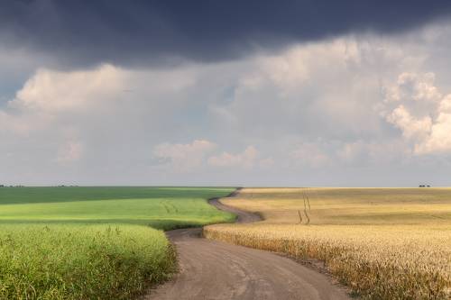 Тульские просторы. Перед грозой.