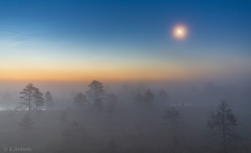 пейзаж, природа, ночь, болото, эстония В туманной тишине фото превью