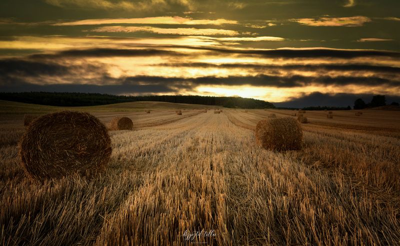 hay bales  landscape  field  agriculture  sky  sunset  clouds  light  Nikon D750  forest  No People  Landscape - Scenery  Nature  Agriculture  Sunset on the field фото превью