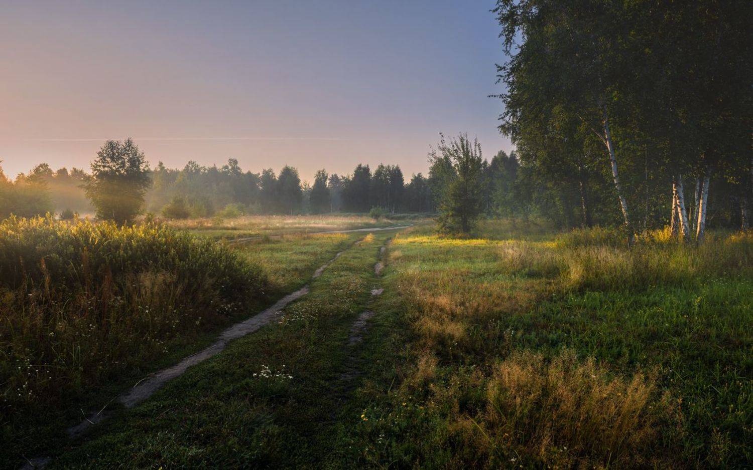луг, лето, , август, туман, утро, рассвет, Галанзовская Оксана