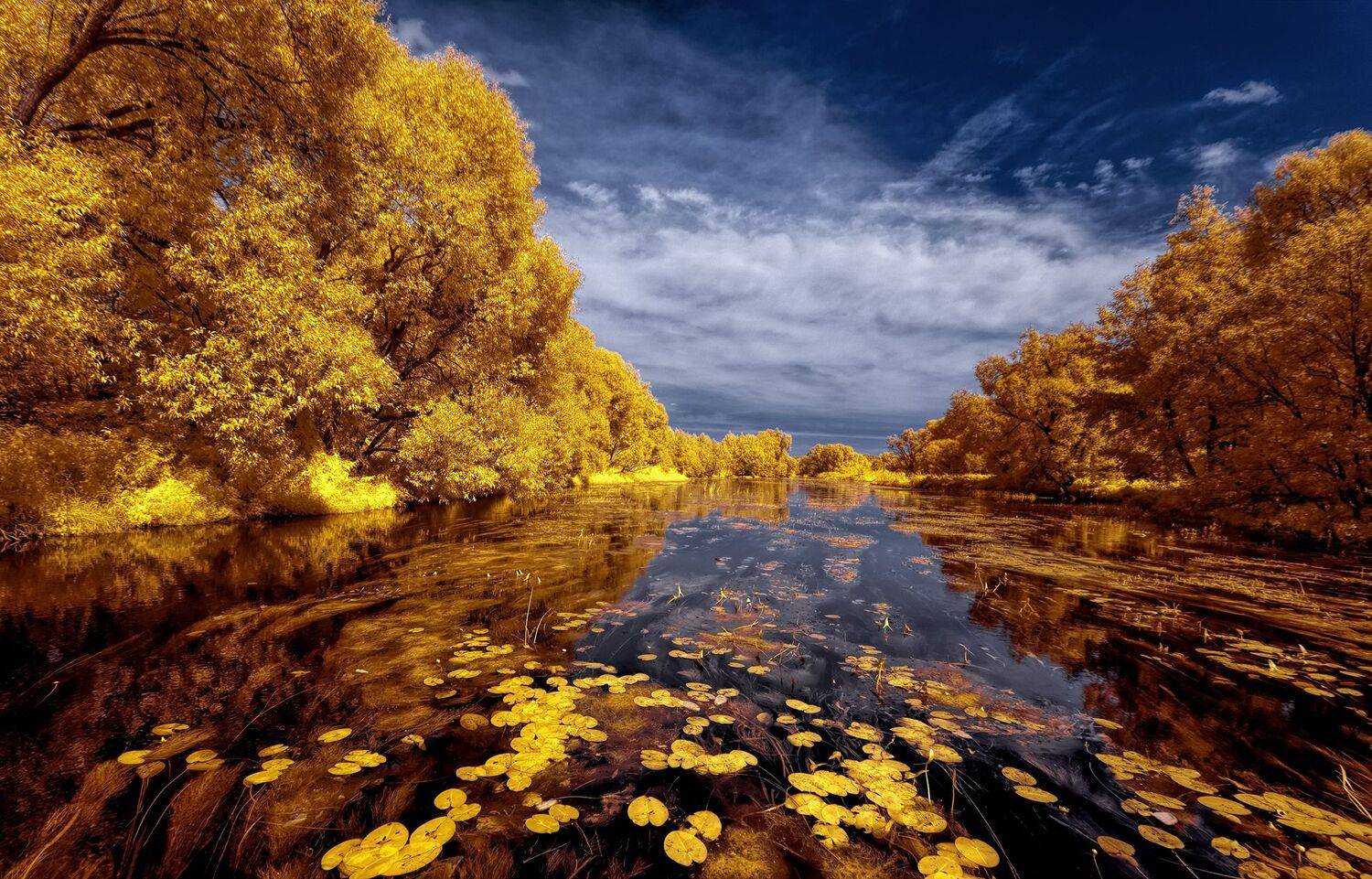 infrared,ик-фото,инфракрасное фото, инфракрасная фотография, пейзаж, лето, Sixten ( Сергей )
