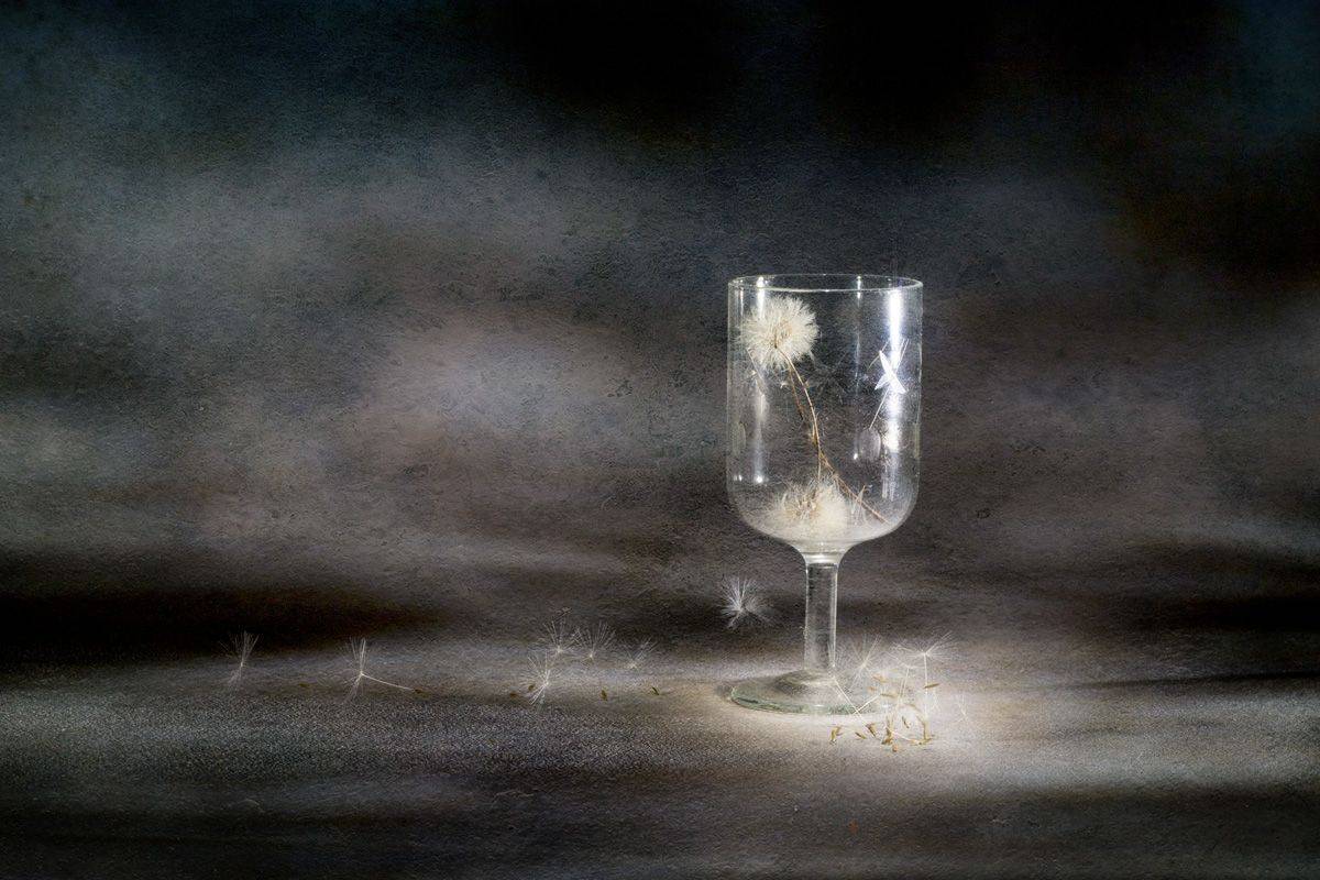 close-up, Игорь Копцев