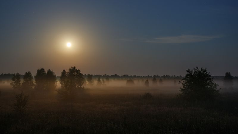 Ночь в июне фото превью