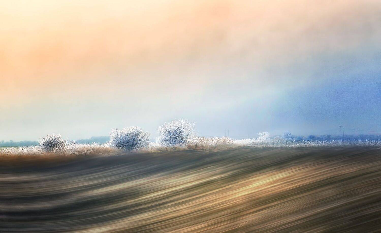 , Геннадий Чеботарев