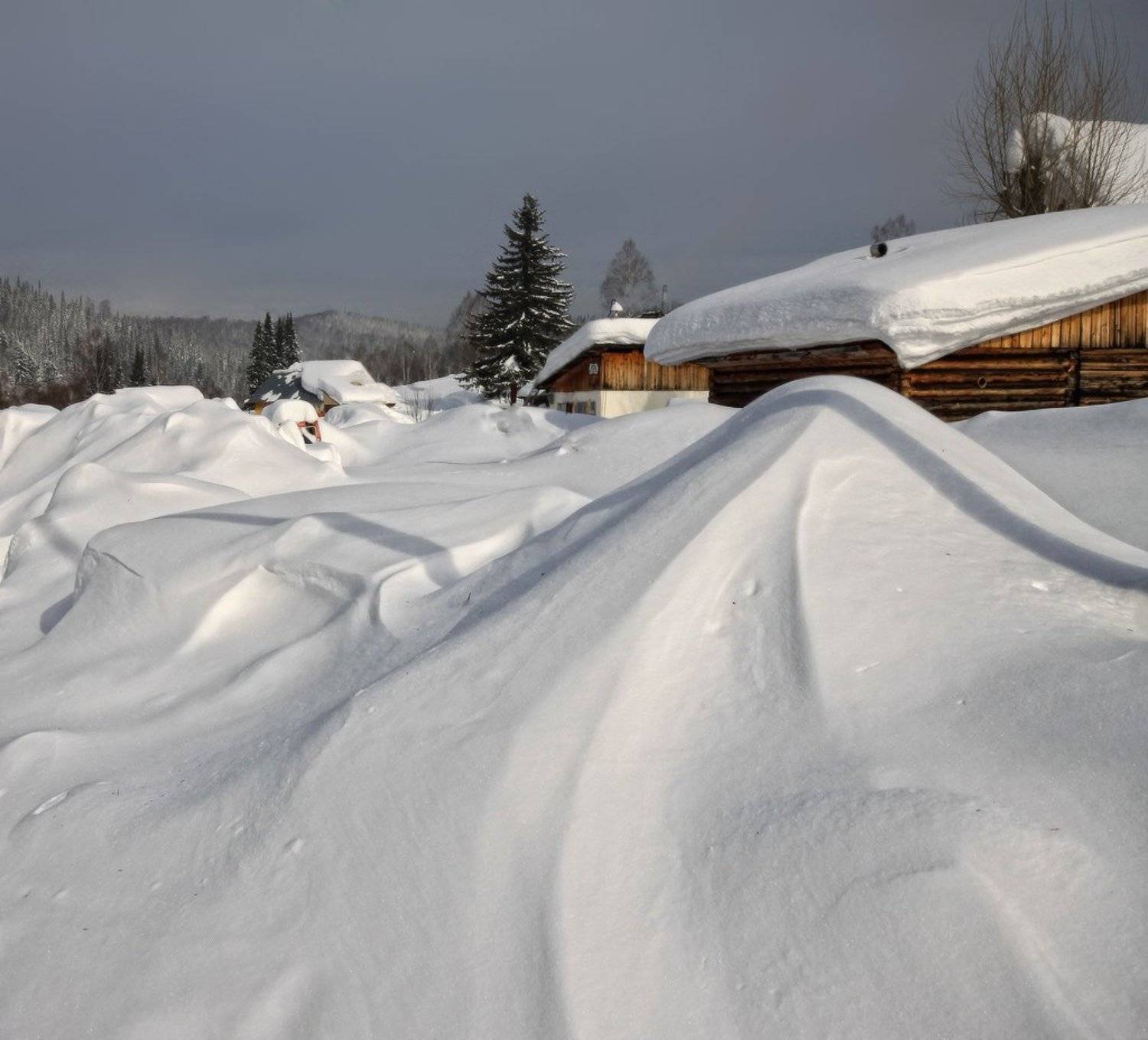 снег, сугробы, зима, горная шория, сибирь, Галина Хвостенко