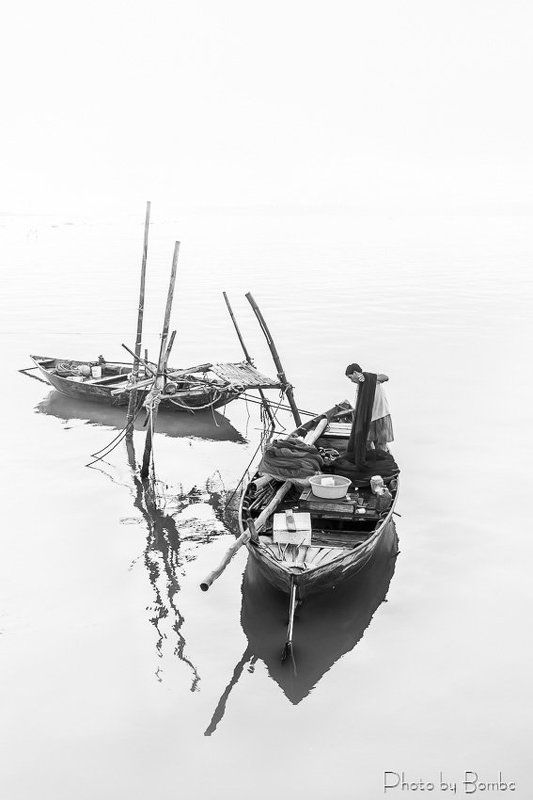 Net collection фото превью