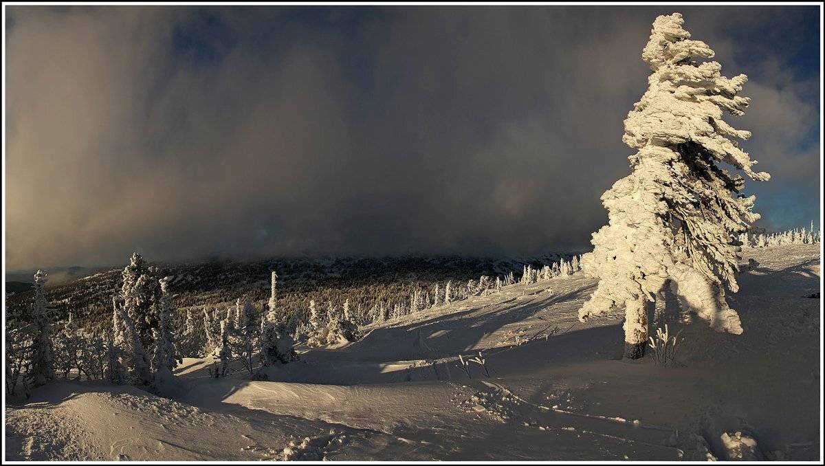 , Лихарев Александр