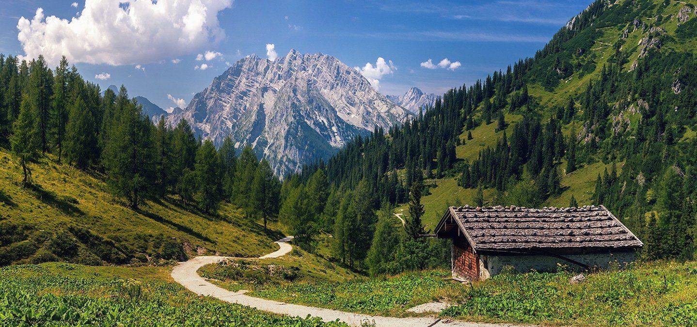 , Игорь Мелекесцев