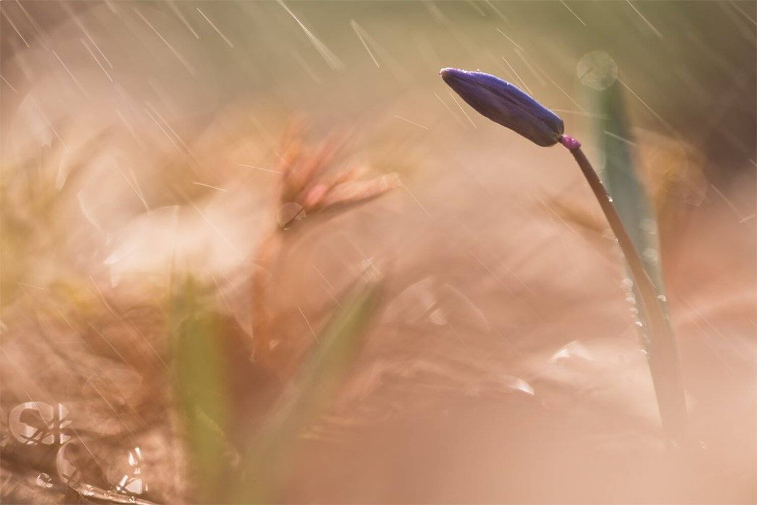 , Геннадий Мещеряков