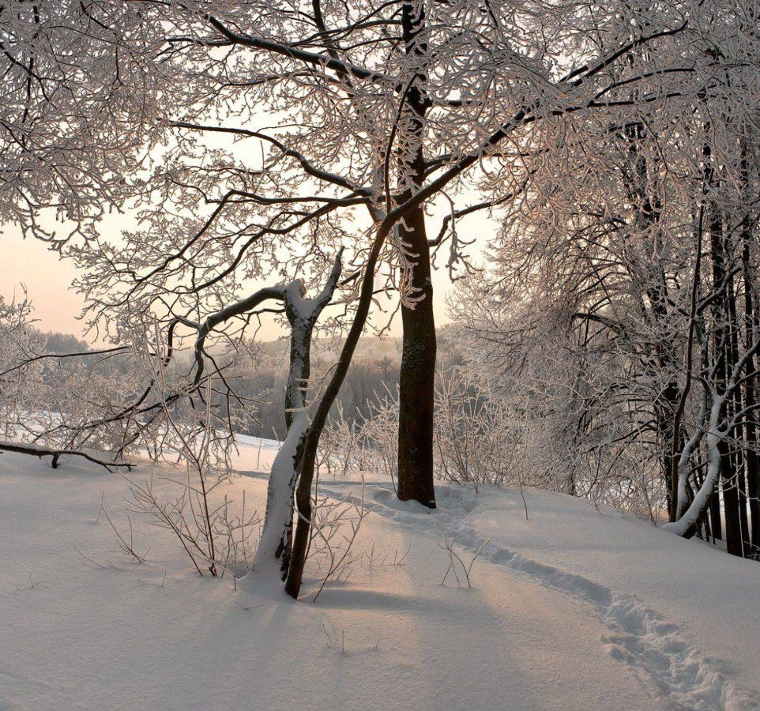 , Гелена Гленкова