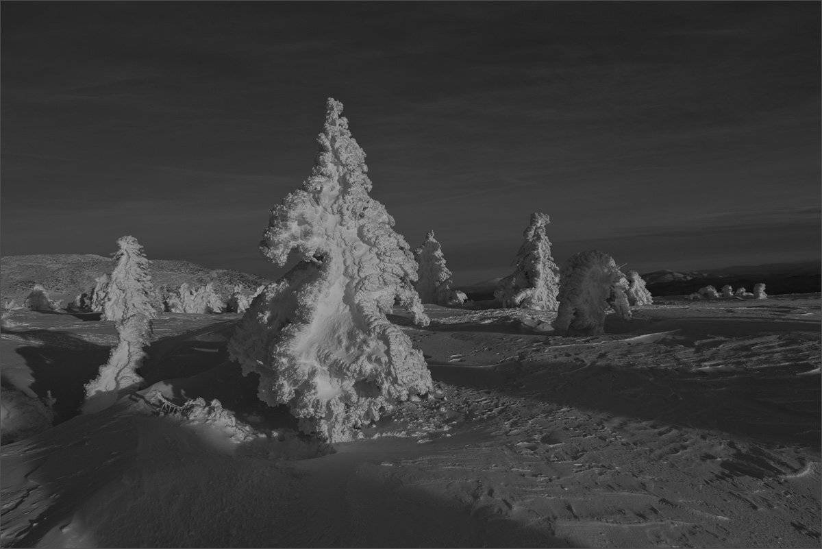 , Александр Гусаков