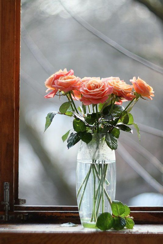 ~***~ фото превью