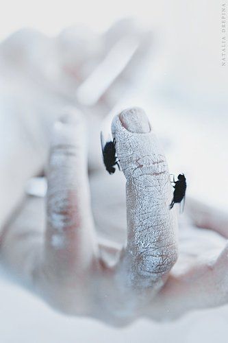 For wounded hearts where winter comes.