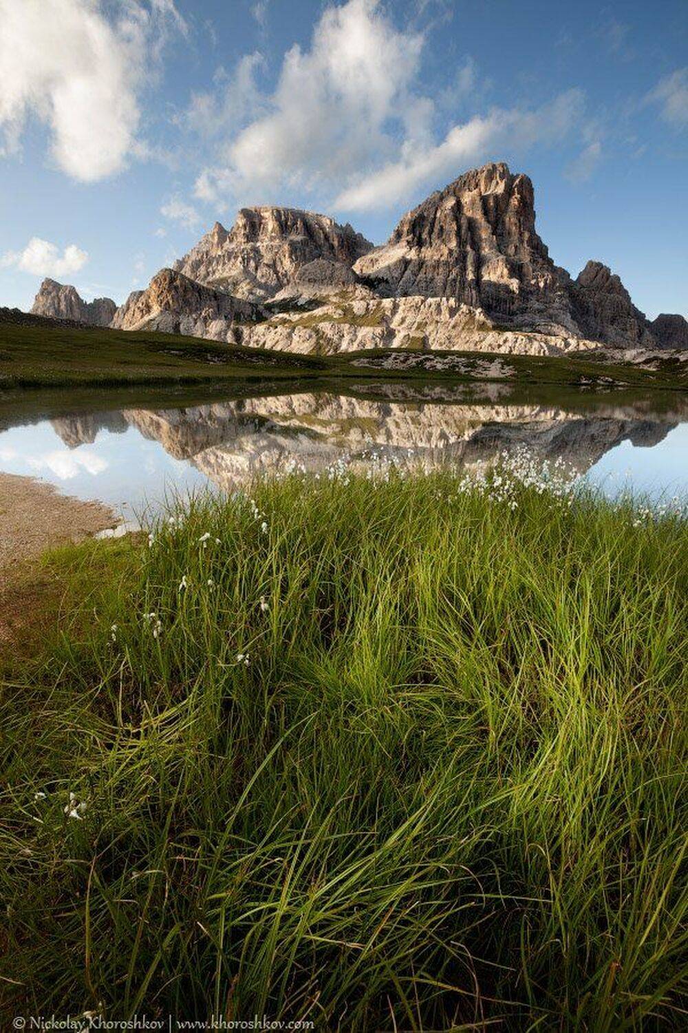 , Николай Хорошков