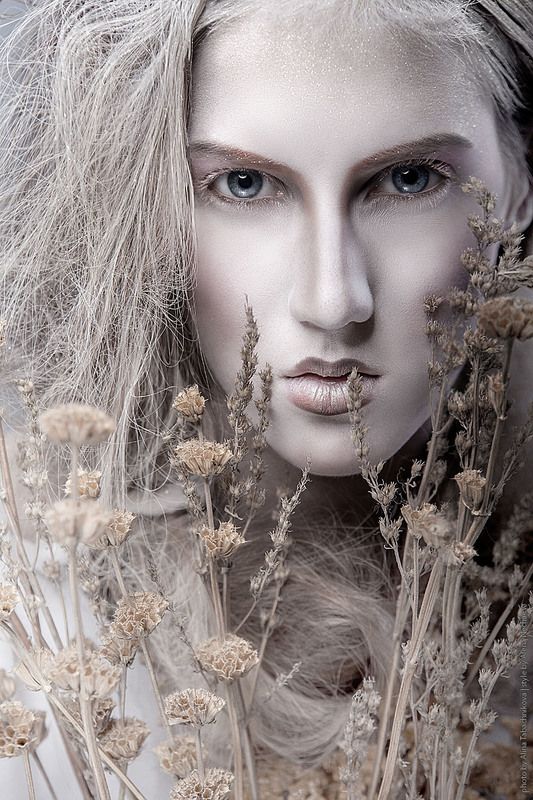 дыхание зимы фото превью