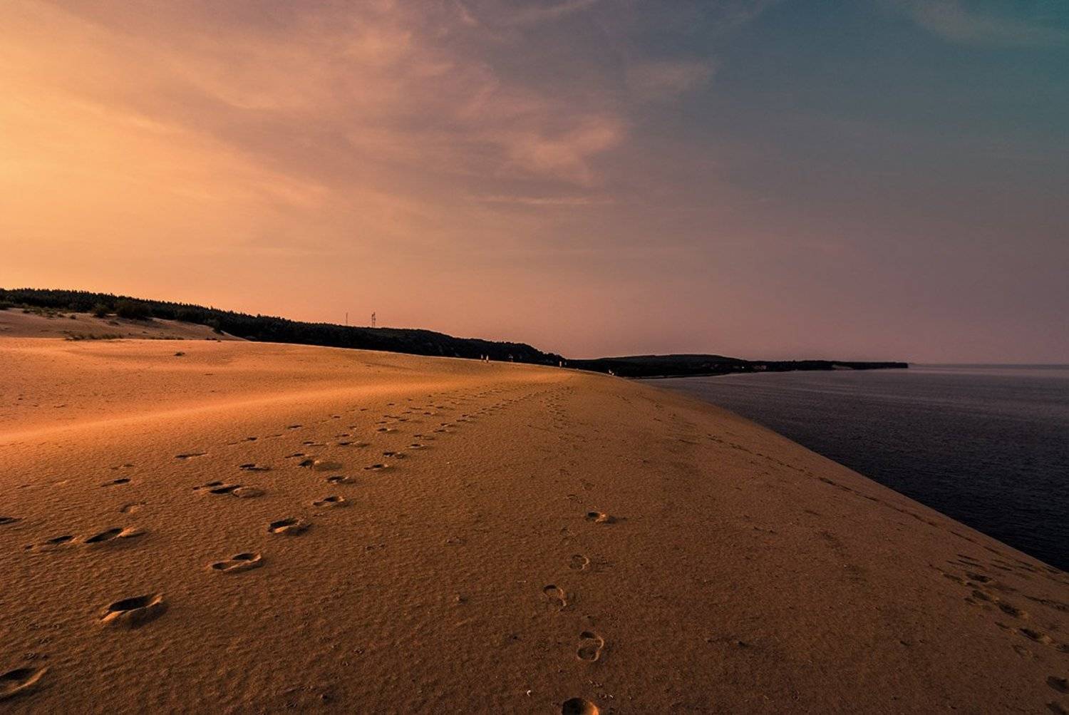 , Александр Титаренко