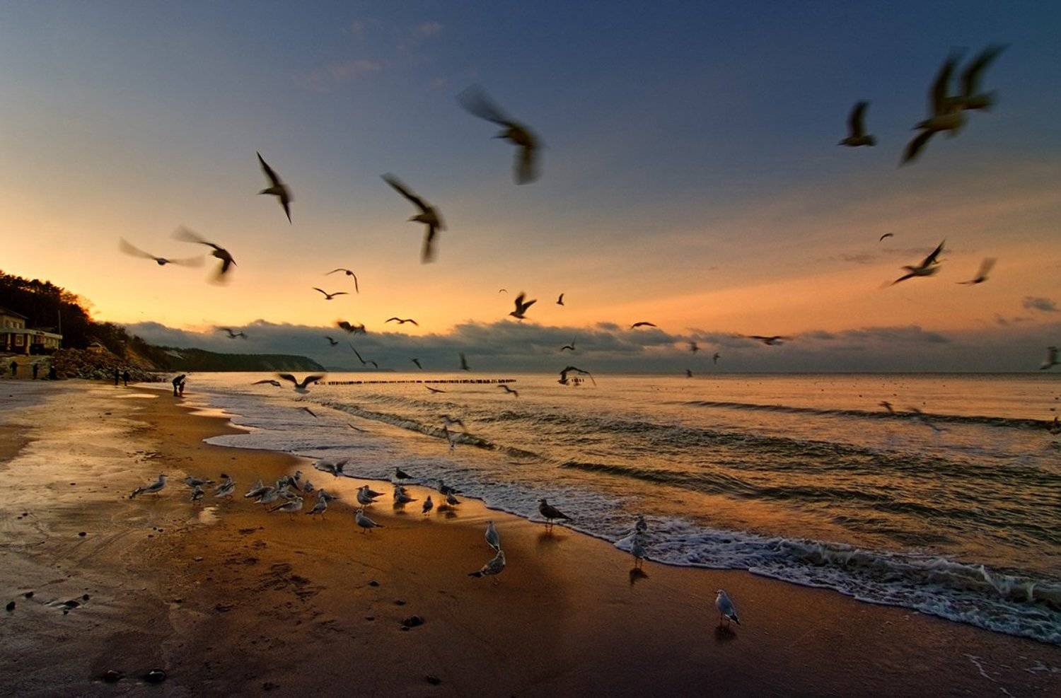 , Александр Титаренко