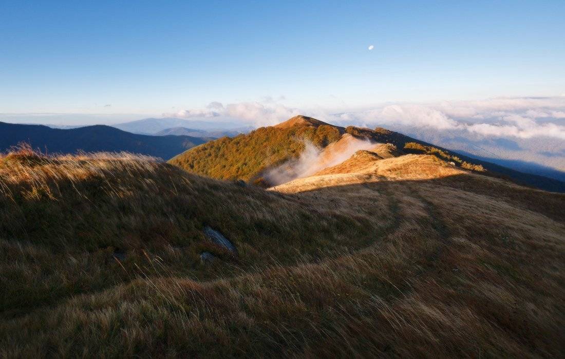 , Ярослав Тюрменко (Jaremi)