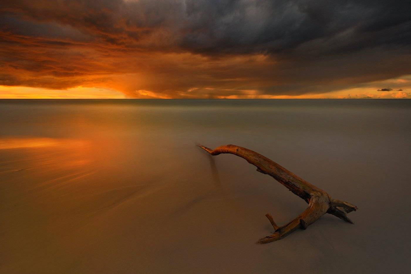 , Pawel Kucharski
