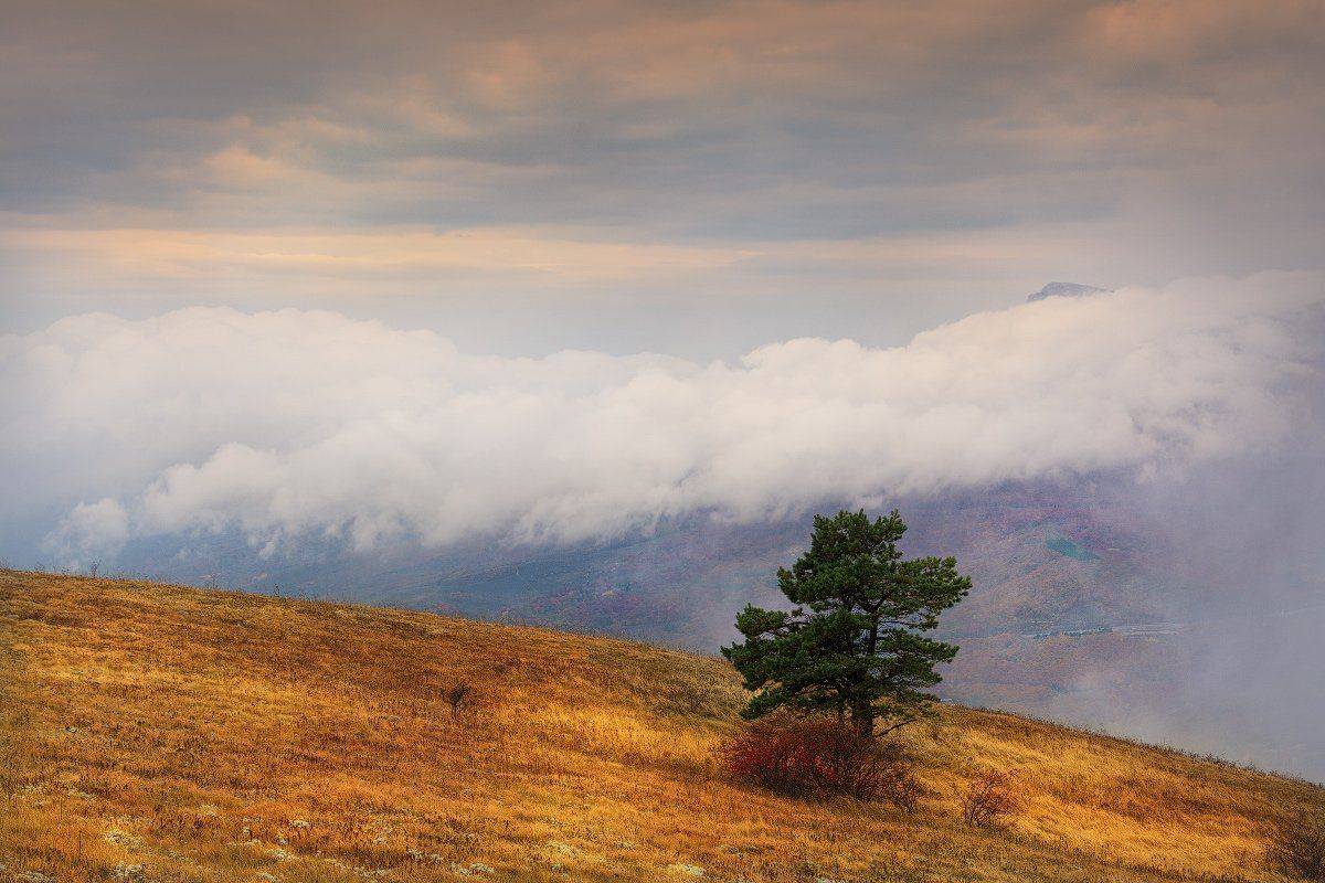 , Жмак Евгений