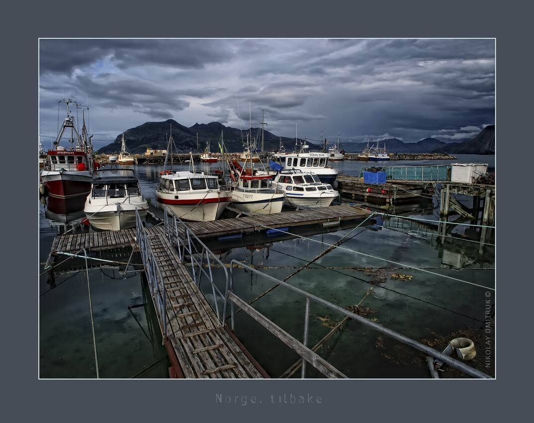 , николай дмитрук