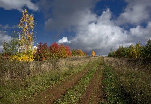 Цветные ограждения